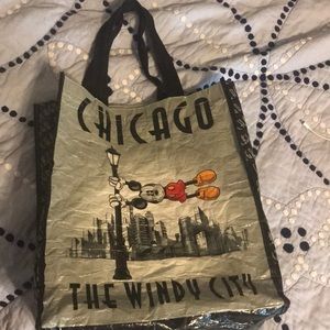 Chicago Disney Store bag